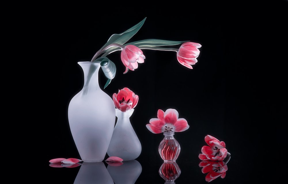 Rosa Tulpen Stillleben von Alice Sheng