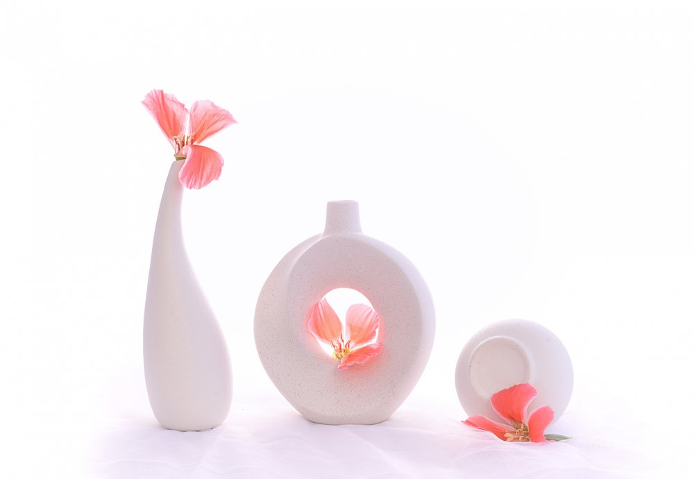Weiches Rosa Stillleben von Alice Sheng