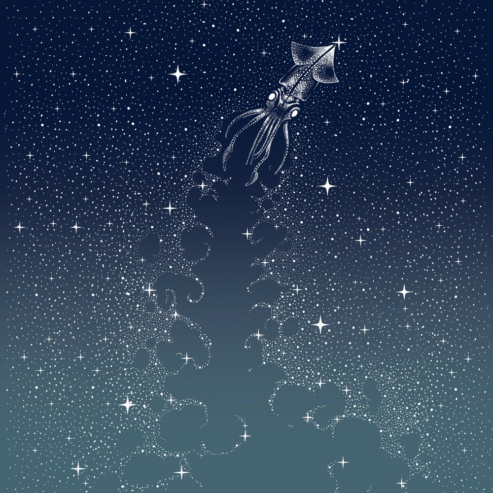 Himmlischer Tintenfischflug von Alirıza ÇAKIR