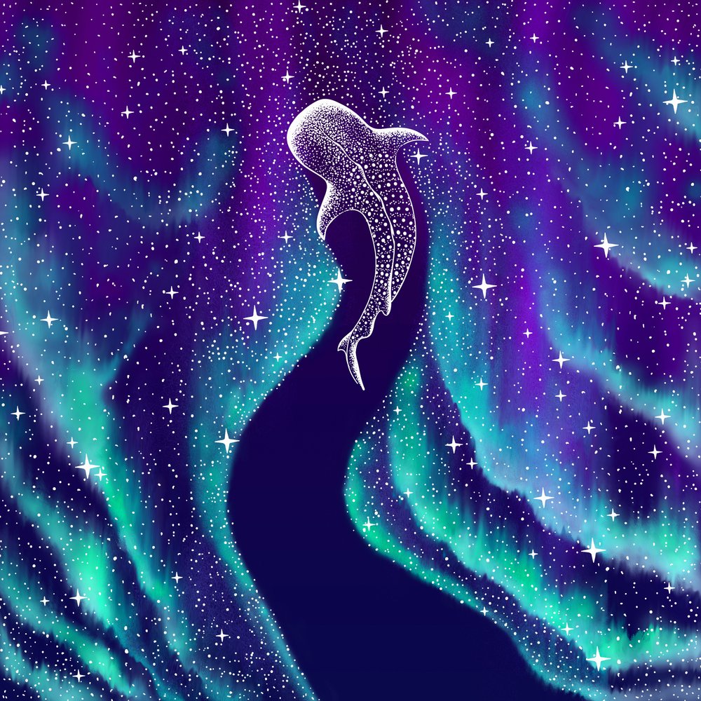 Himmlischer Walhai von Alirıza ÇAKIR