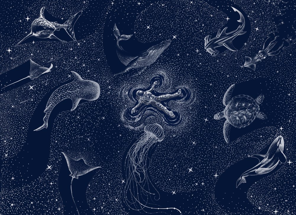 Kosmischer Ozeantraum von Alirıza ÇAKIR