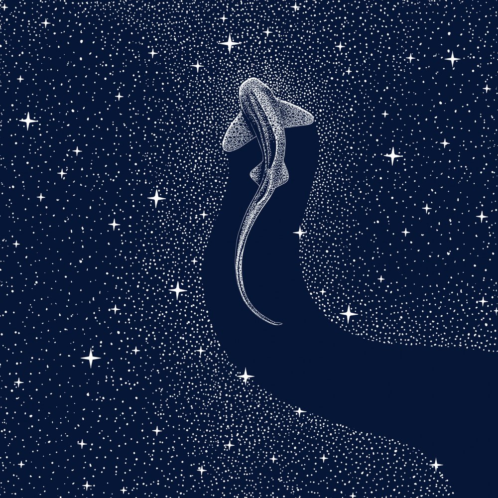 Kosmischer Hai von Alirıza ÇAKIR