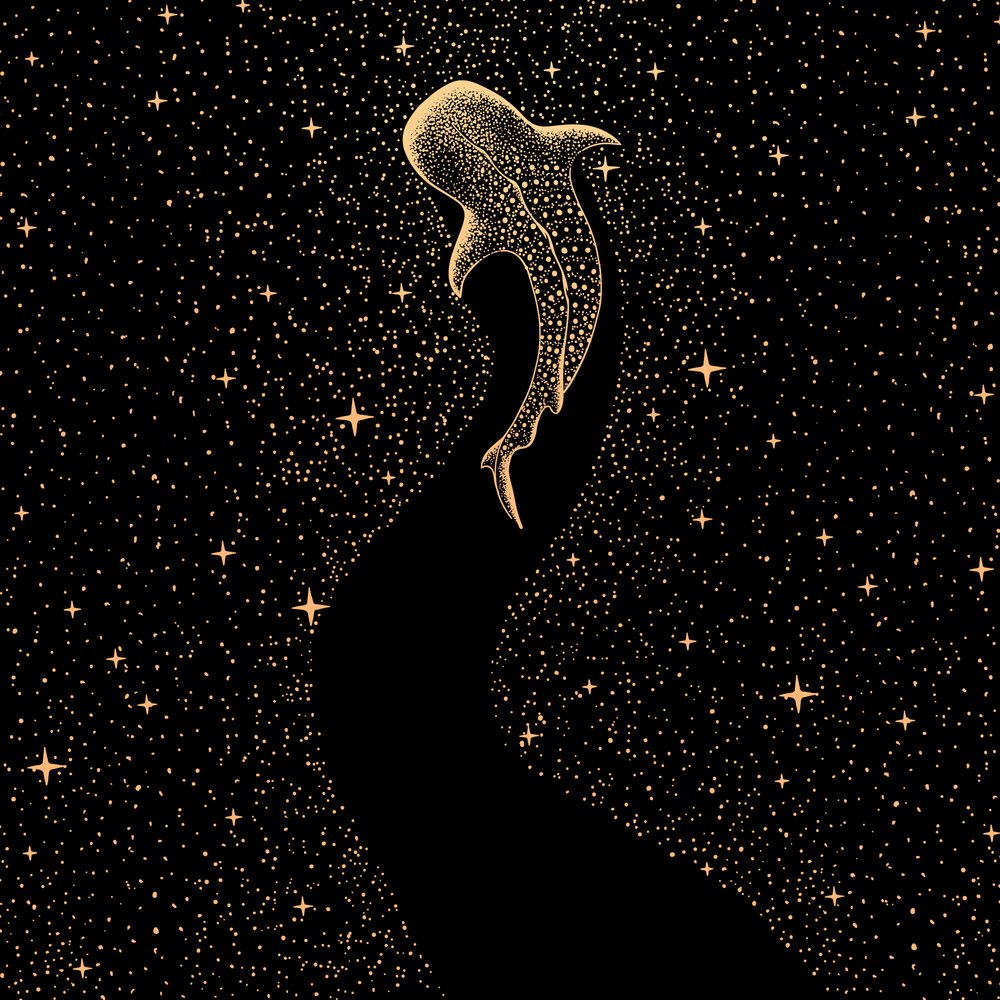 Kosmischer Walhai von Alirıza ÇAKIR