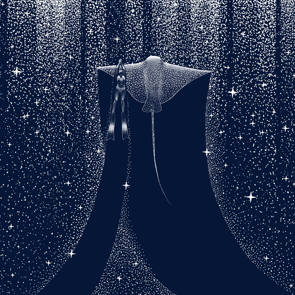 Sternen-Ozeantaucher von Alirıza ÇAKIR