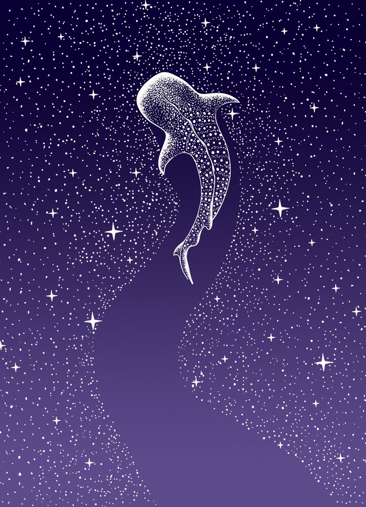 Walhai-Galaxie-Schwimmen von Alirıza ÇAKIR