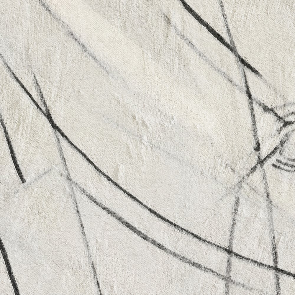 Abstrakte schwarze Linien von Alma