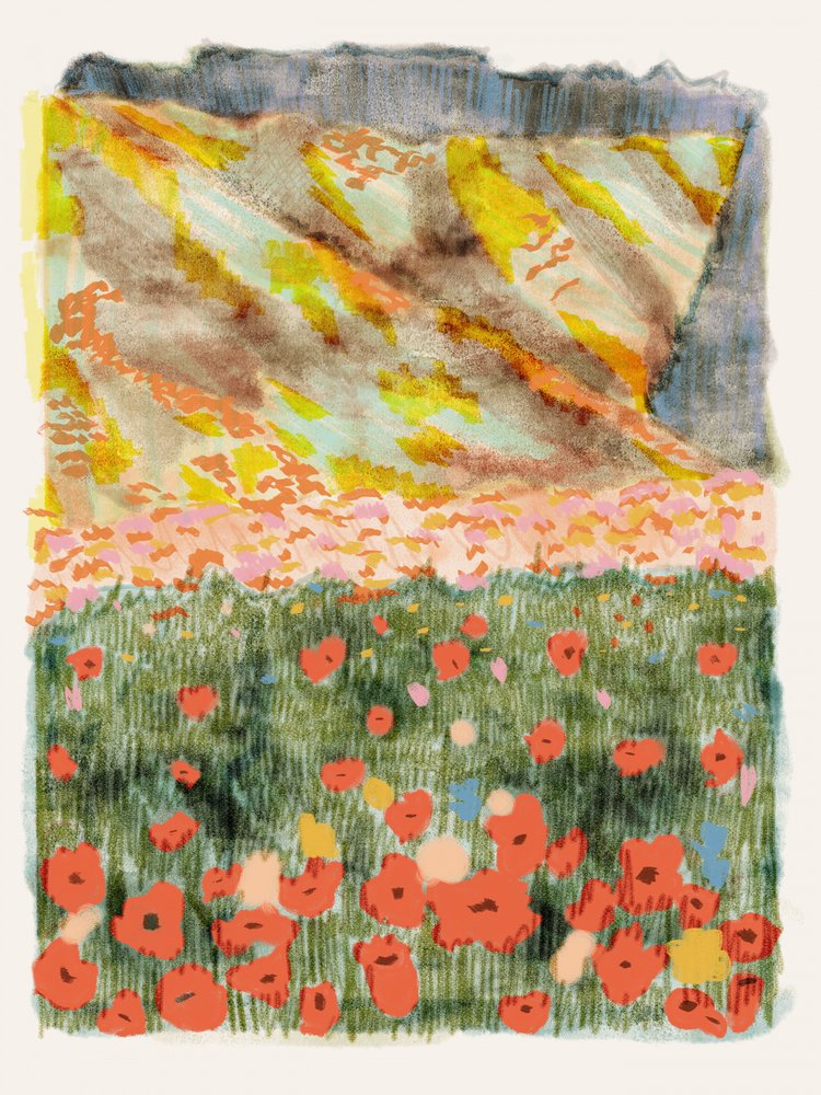 Lebendige Bergmohnblumen von Alyssa Hamilton