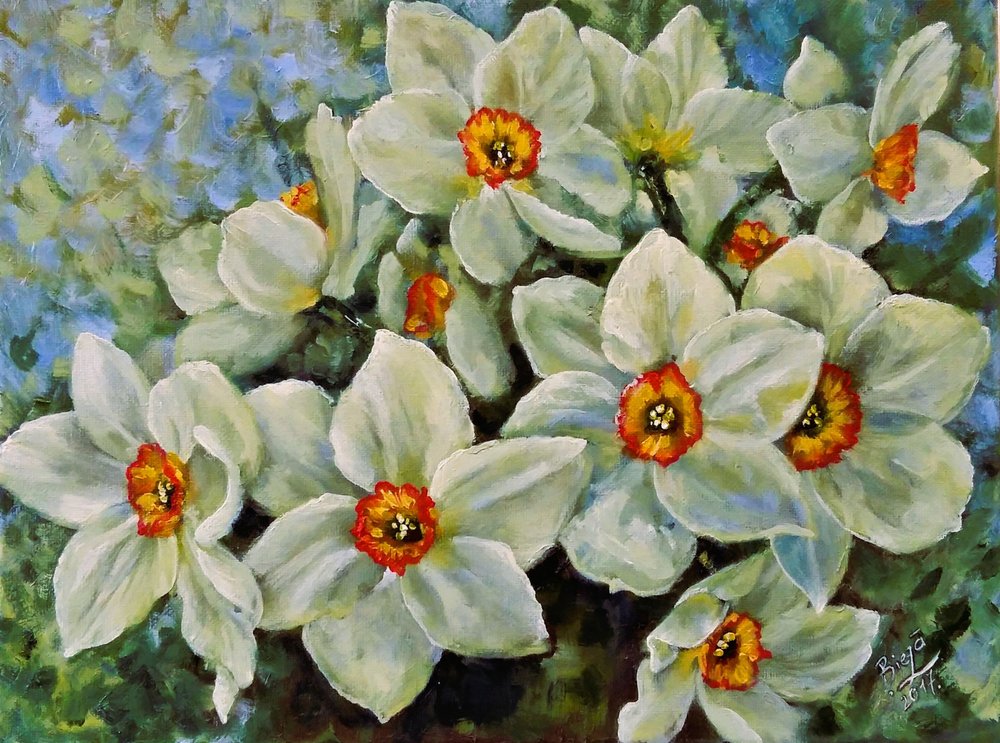 Blühende Narzissen von Anda Bieza