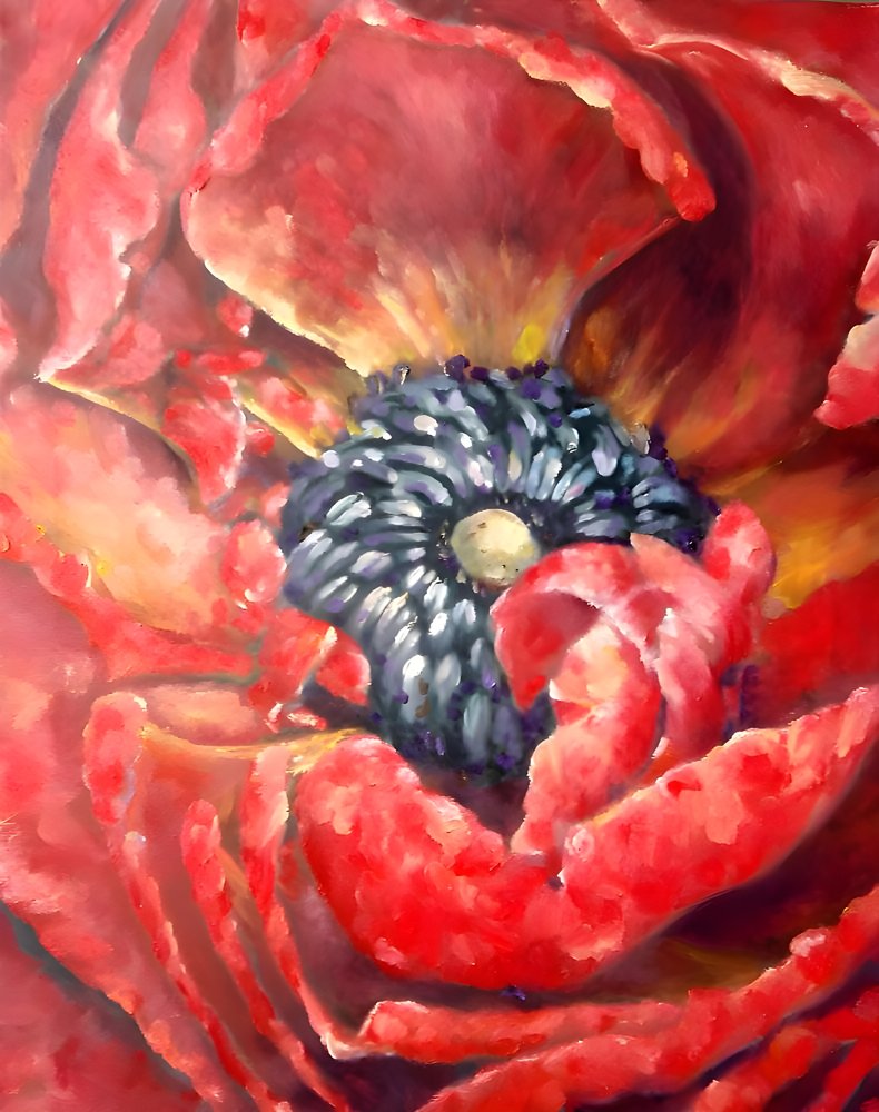 Lebendiger roter Mohn von Anda Bieza