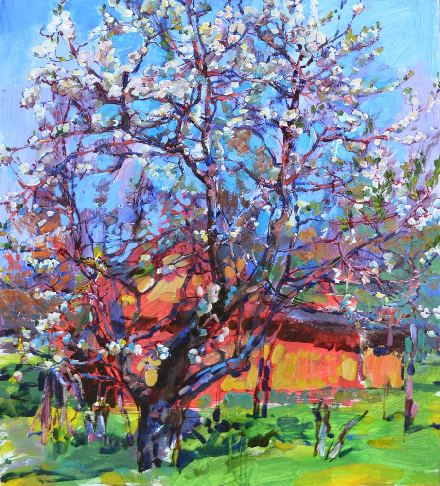 Blühender Frühlingsbaum von Andrii Kutsachenko