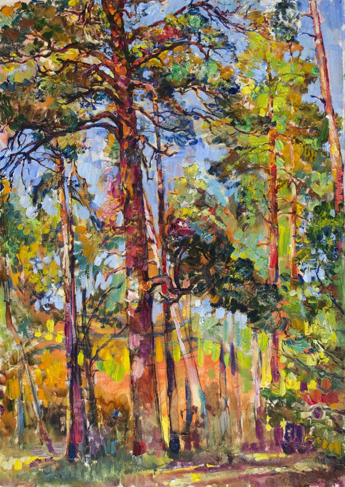 Sonnenbeschienener Kiefernwald von Andrii Kutsachenko