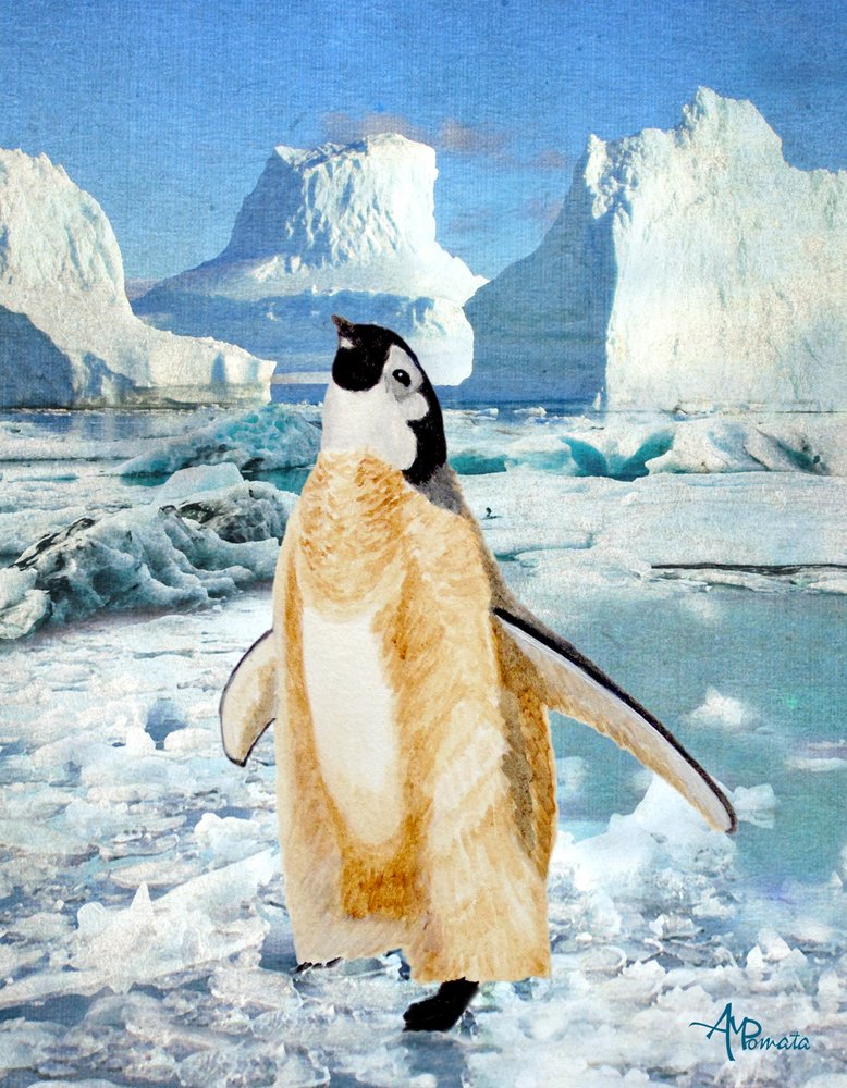 Neugieriger Pinguin auf Antarktischem Eis von Angeles M. Pomata