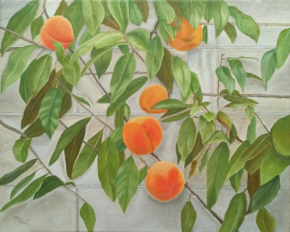 Frische Pfirsiche an der Wand von Angeles M. Pomata