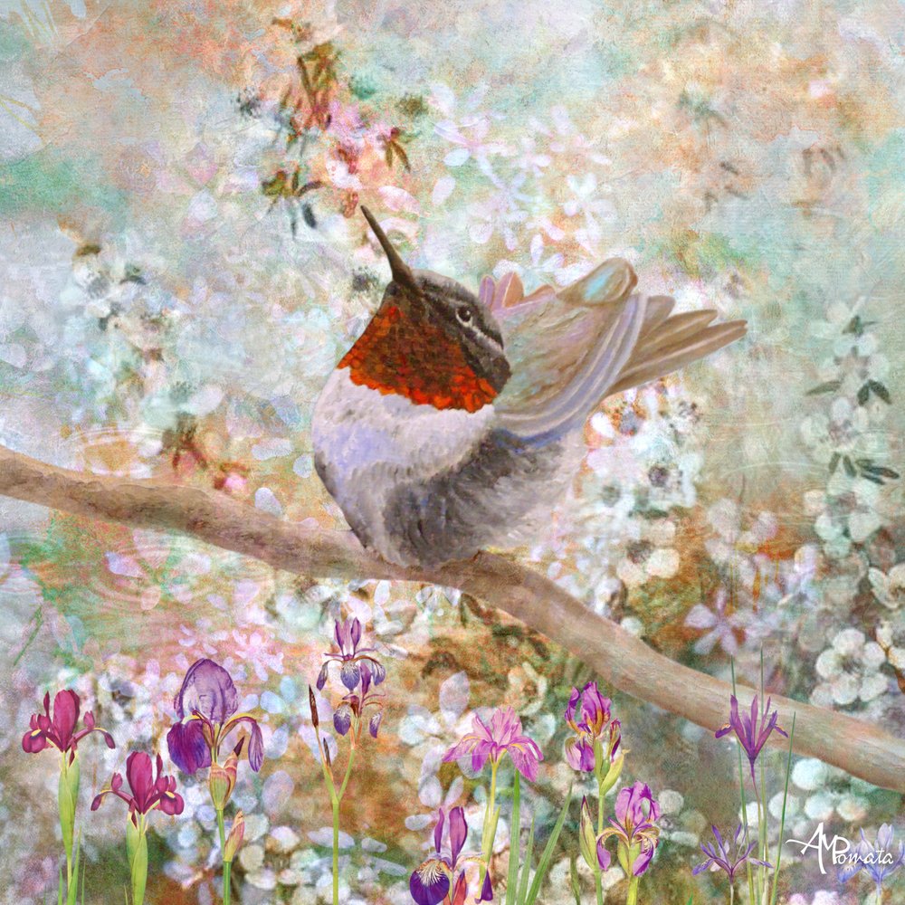 Kolibri in Blüte von Angeles M. Pomata