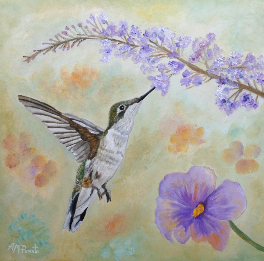 Kolibri beim Nektarschlürfen von Angeles M. Pomata