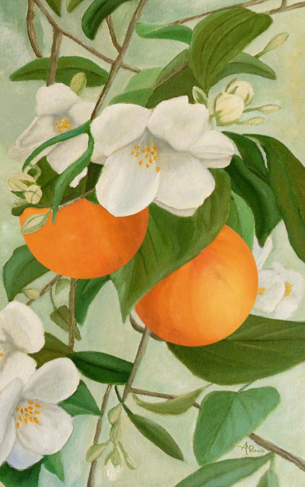 Orangenblütenzweig von Angeles M. Pomata
