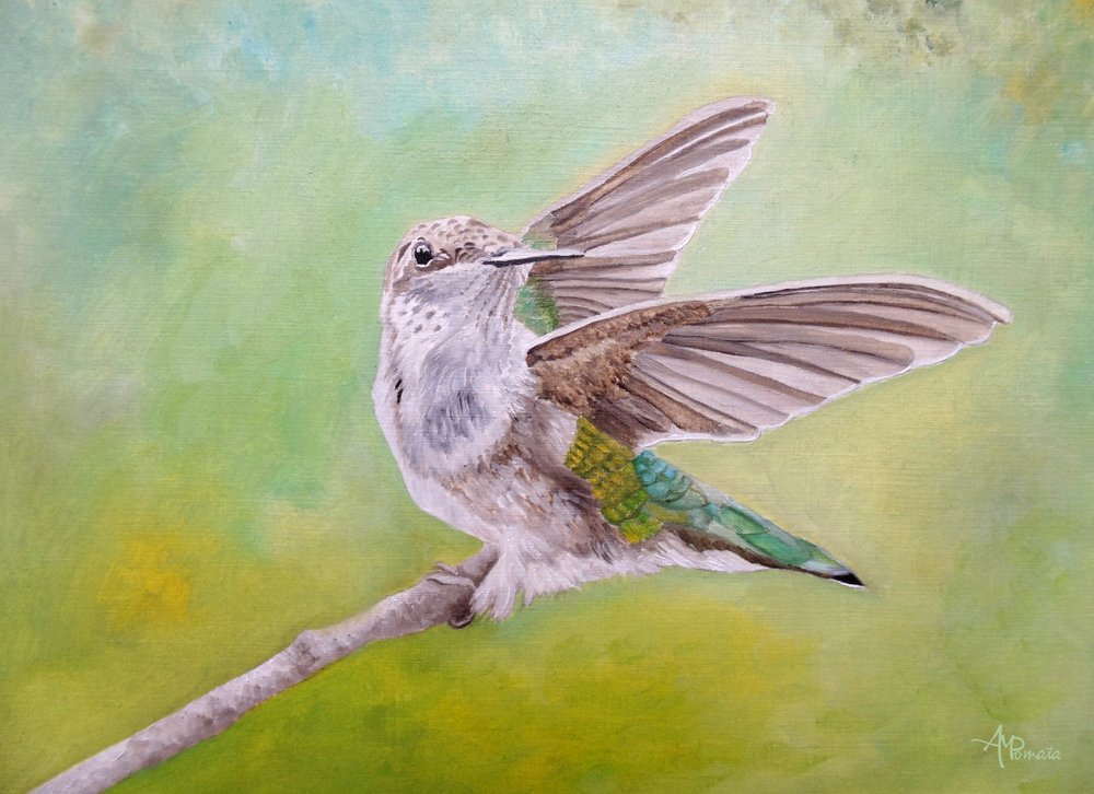 Kolibri mit ausgebreiteten Flügeln von Angeles M. Pomata