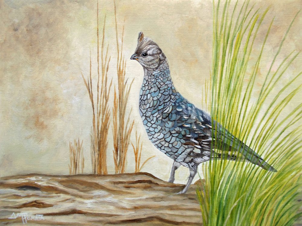 Raufußhuhn auf Baumstamm von Angeles M. Pomata