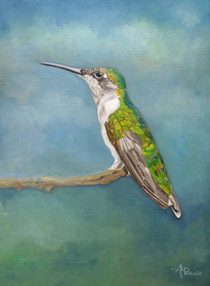 Lebendiger Kolibri auf der Stange von Angeles M. Pomata