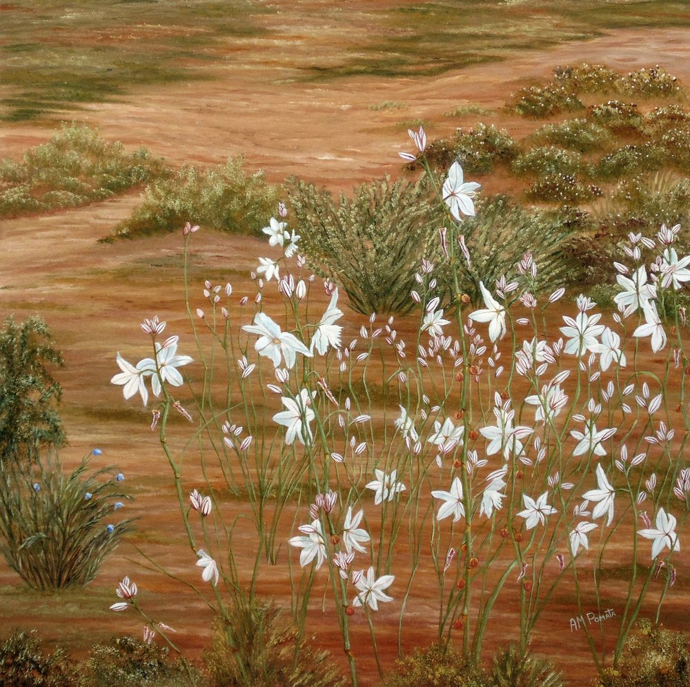 Weiße Wüstenblumen von Angeles M. Pomata
