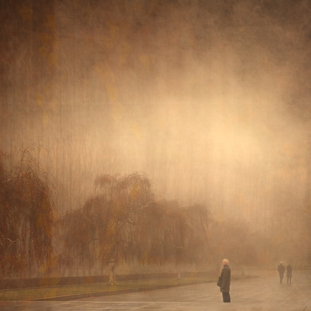 Träumiger Herbstspaziergang von Anja Buehrer