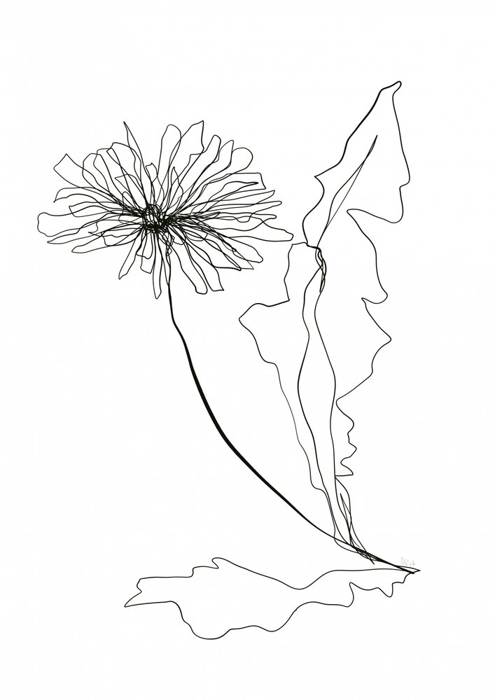 Löwenzahn Linienkunst von Ankie Kooi