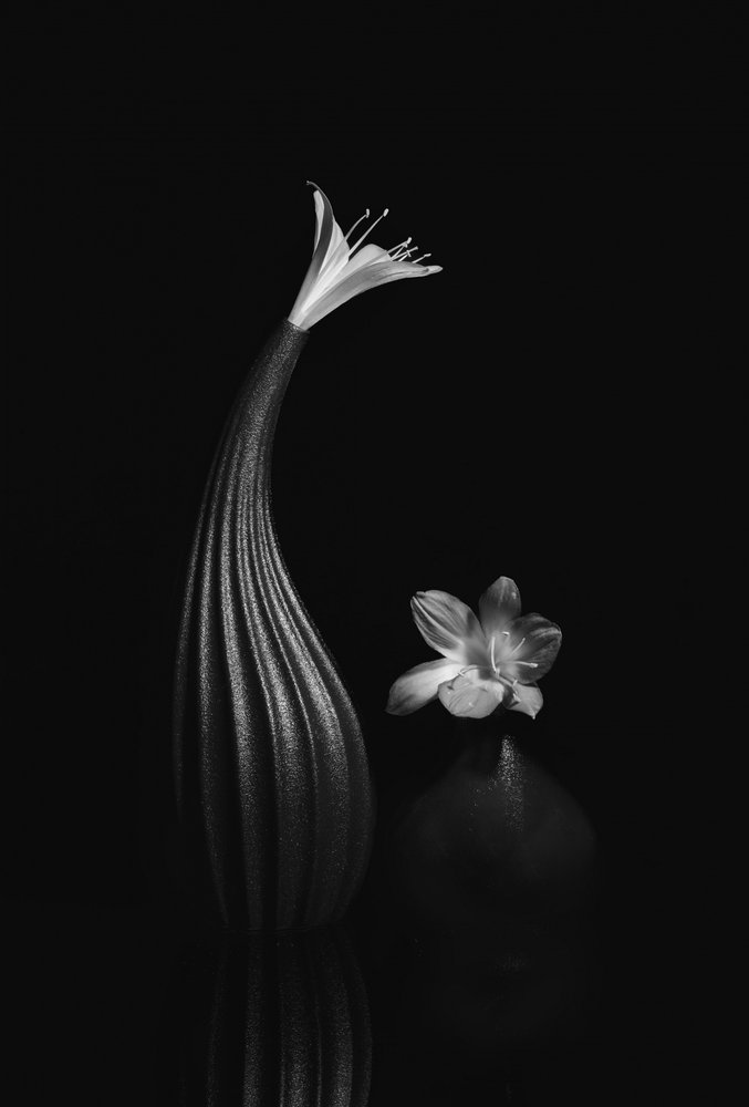 Elegantes Blumen-Stillleben von Anna Qu