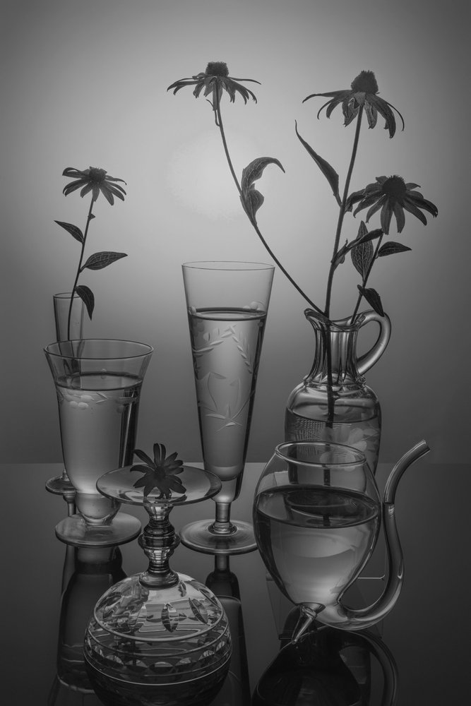 Monochrome Blumen und Glas von Anna Qu