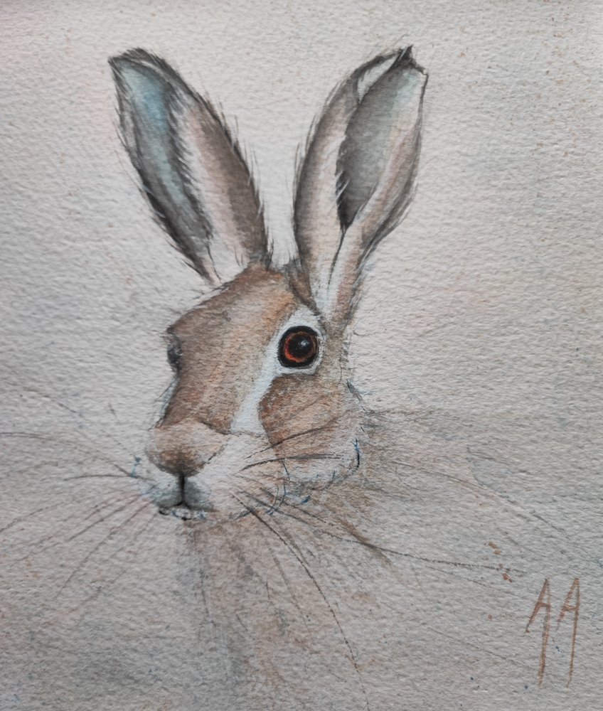 Sanftes Hasenporträt von Annette Armitage