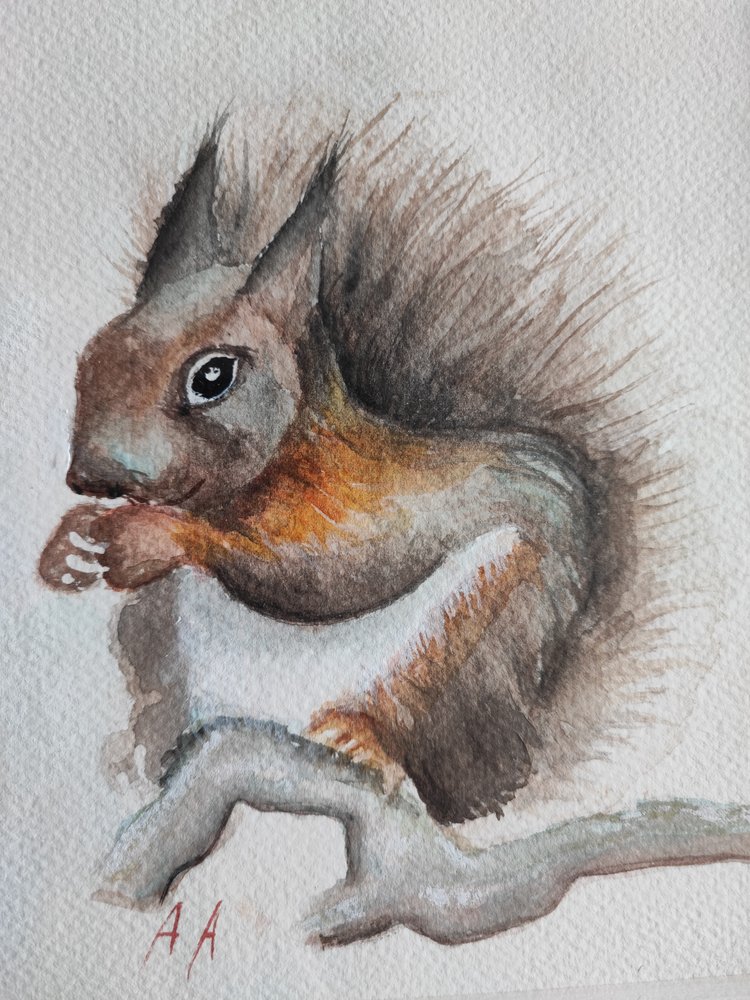 Aquarell-Wald-Eichhörnchen von Annette Armitage