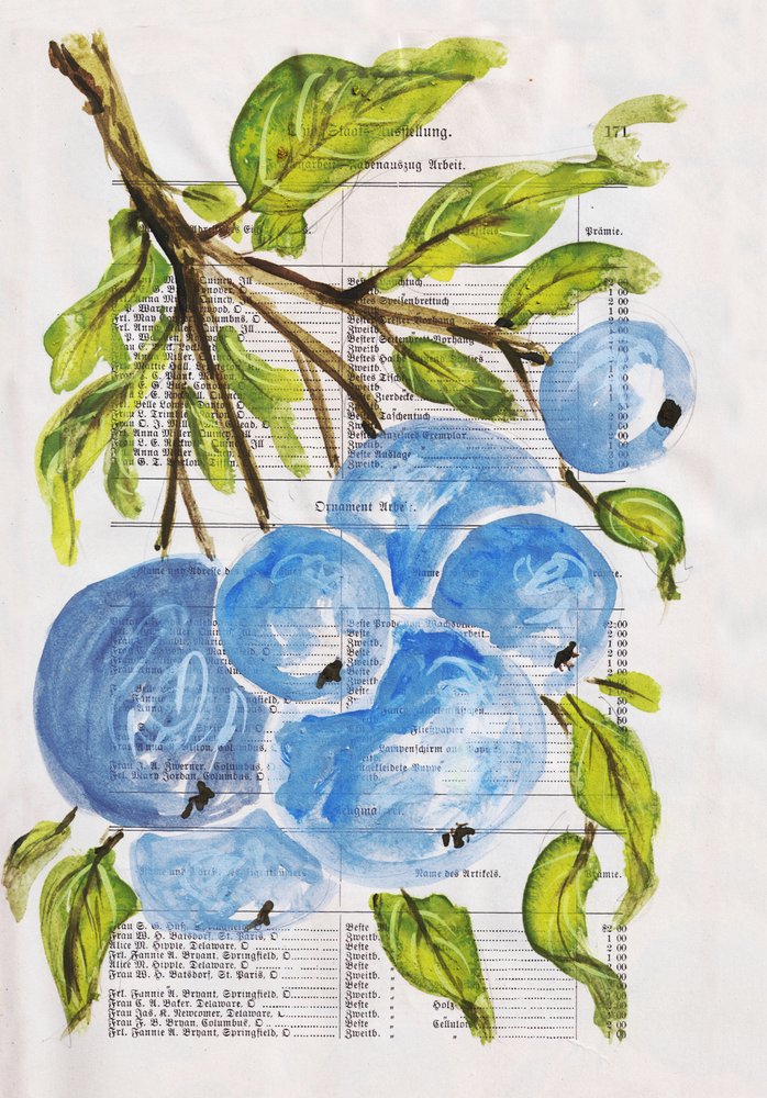 Gemalte Blaubeeren auf Papier von Annick