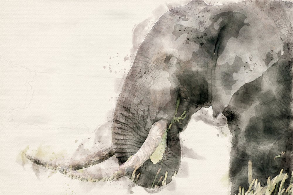 Friedlicher Elefant Aquarell von Arno Du Toit