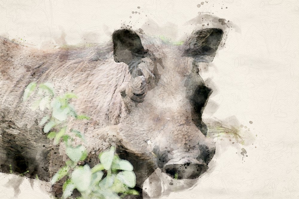 Aquarell Warzenschwein Porträt von Arno Du Toit
