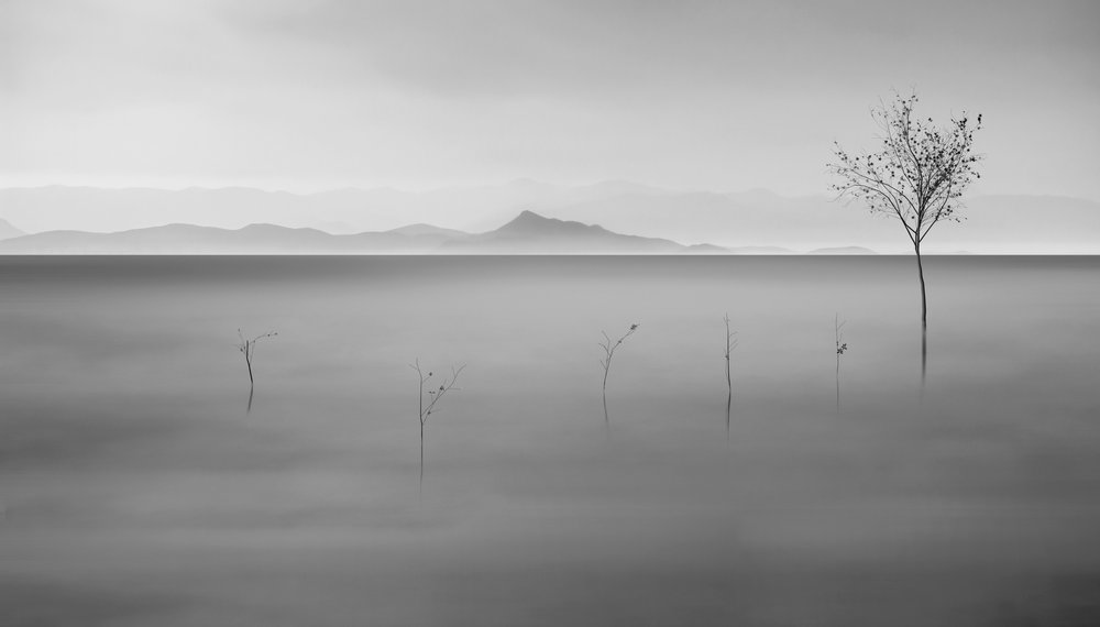 Nebliger See einsamer Baum von Asef Azimaie