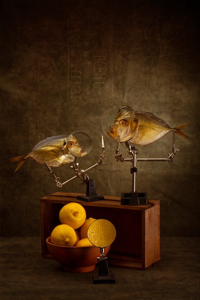 Neugierige Fischstudie von Brig Barkow