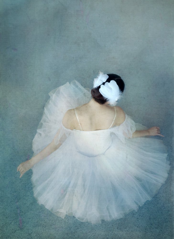 Elegante Ballerina-Schwan von Catherine Wang