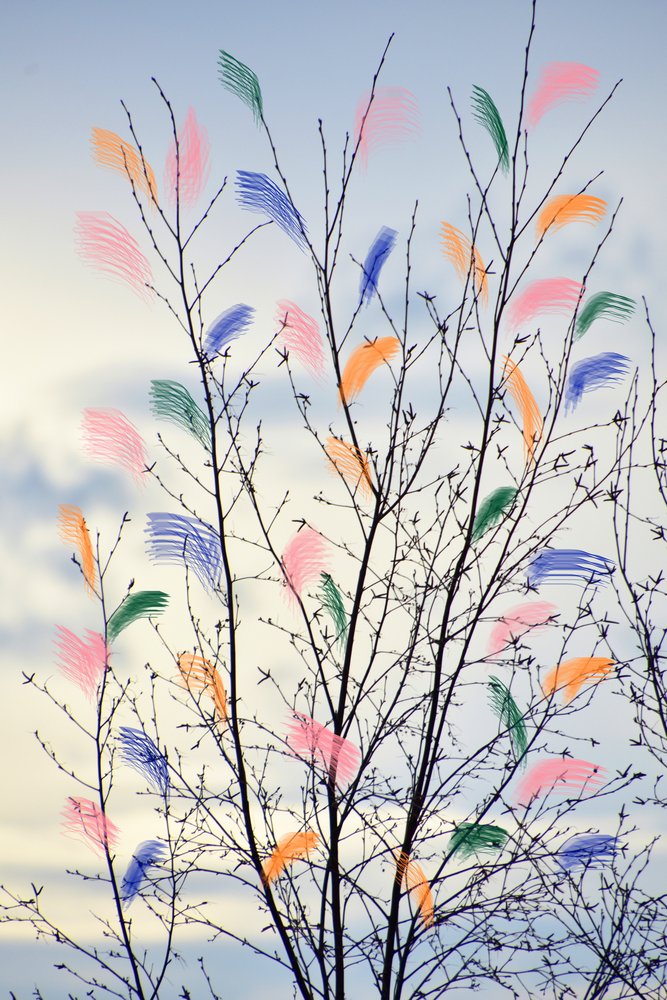Bunte Frühlingszweige von Christina Sillen