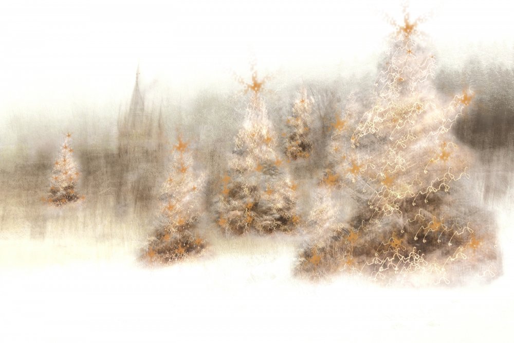 Magische Winterbäume von Christina Sillen