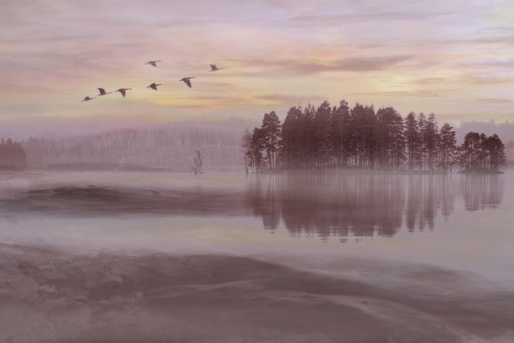 Nebliger See Vogel Flug von Christina Sillen