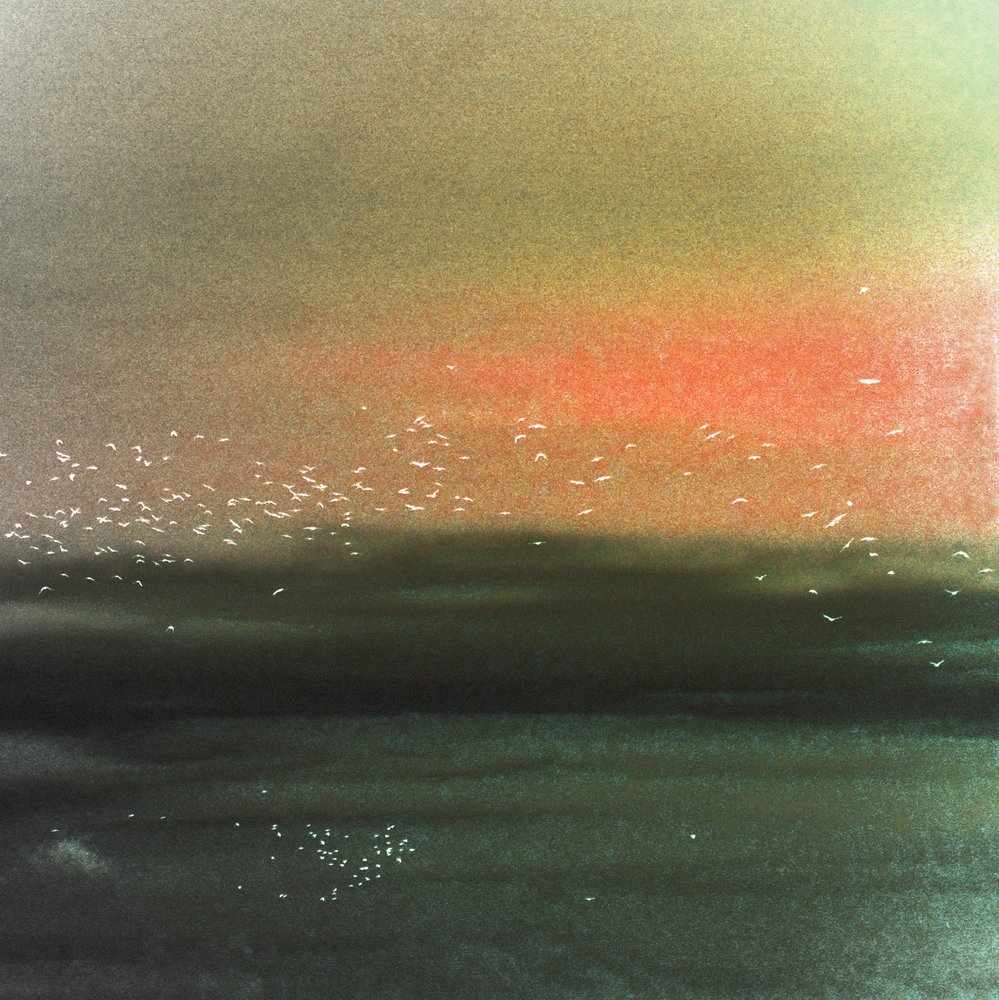 Ozeanvögel Roter Himmel von Christina Sillen