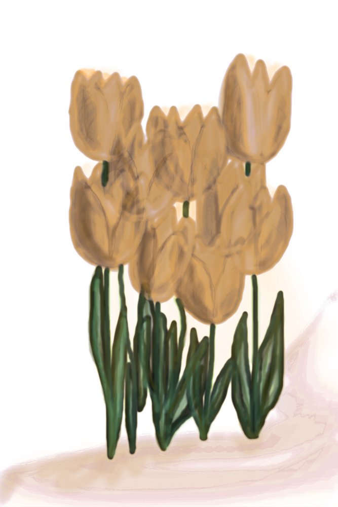 Weiche beige Tulpen von Christina Sillen