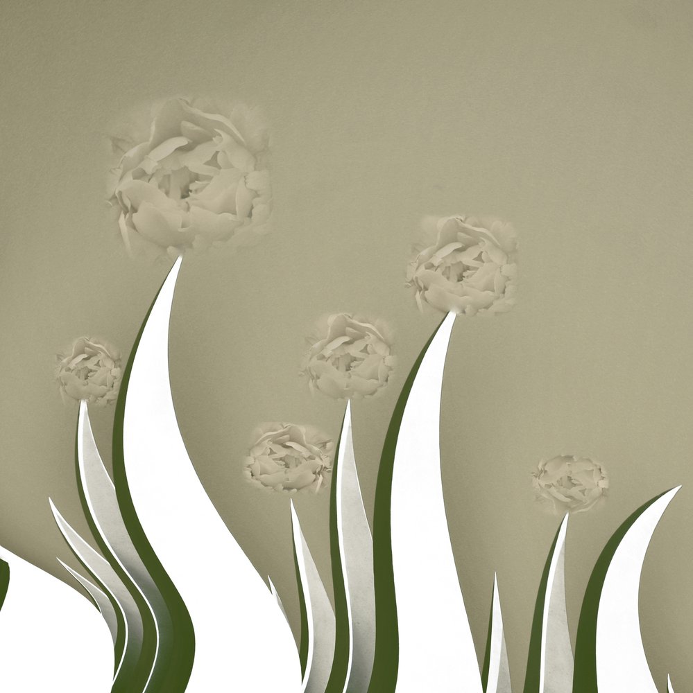 Subtile Creme Blüten von Christina Sillen