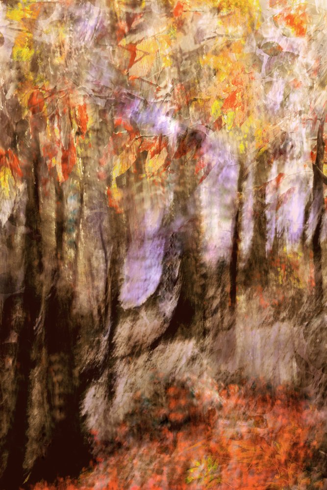 Lebendiger Herbstwald von Christina Sillen