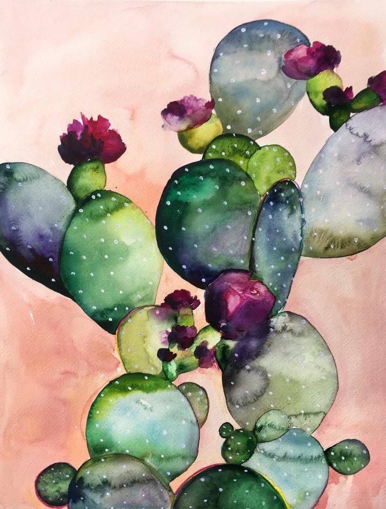 Bunte Kaktusblüten von Christine Lindstrom