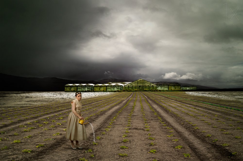 Einsamer Gärtner im stürmischen Feld von Christine von Diepenbroek