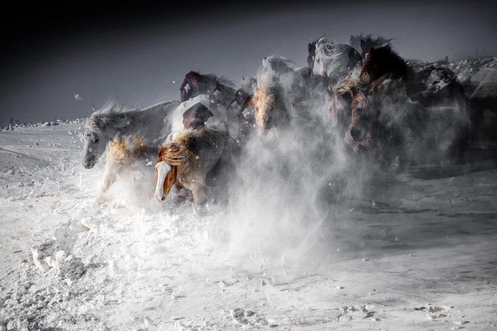 Winterpferde-Stampede von Chuanxu Ren
