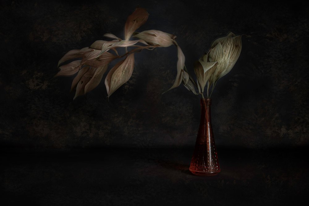 Dunkles botanisches Stillleben von Cicek Kiral