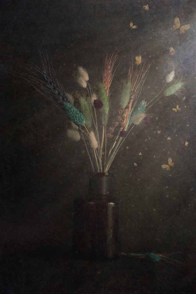 Dunkle Blumen-Schmetterlinge von Cicek Kiral