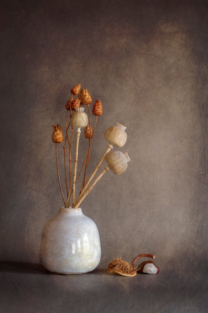 Getrocknetes Mohn-Stillleben von Cicek Kiral
