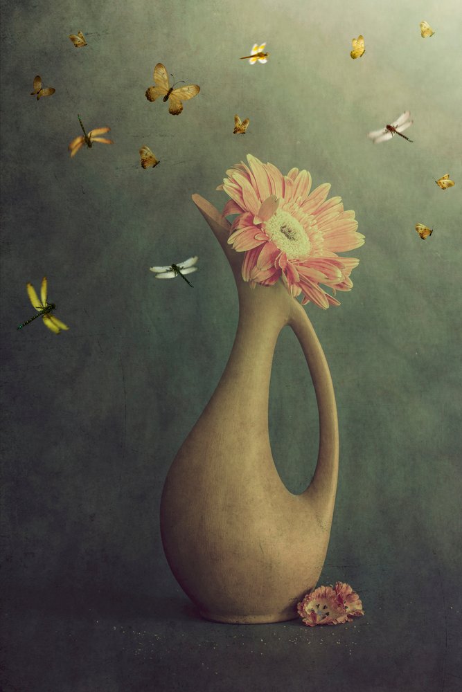 Gerbera-Vase und Flug von Cicek Kiral
